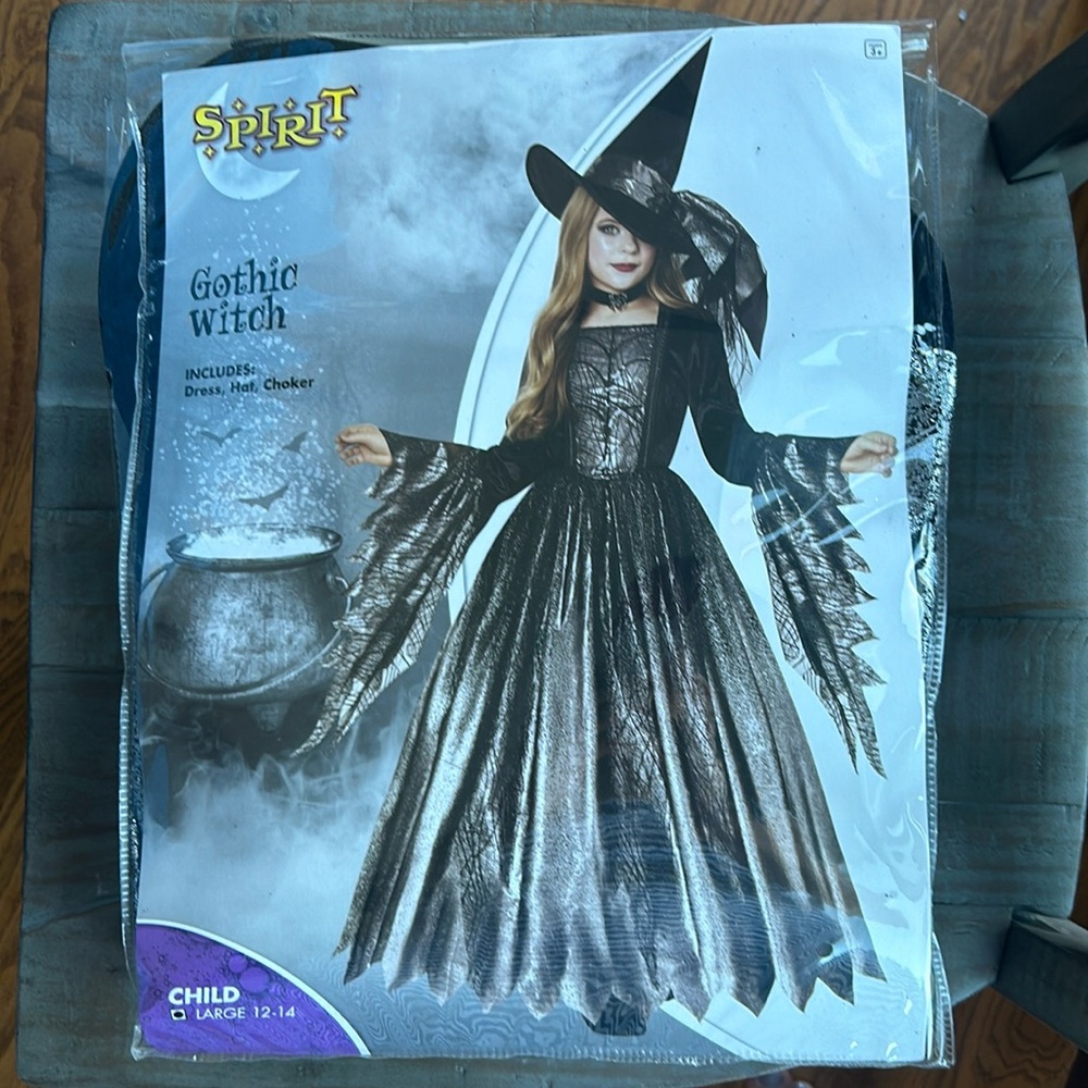 Spirit Gothic Witch Costume - Black and Silver